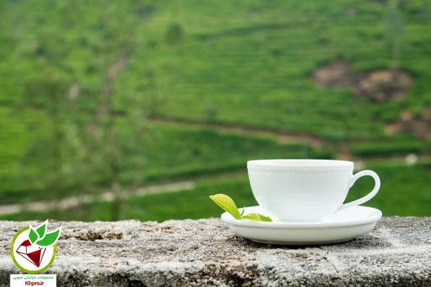 دمنوش چای سبز برای درمان عفونت کلیه